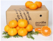柑橘(農産品)