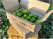 甘夏屋の有機ライム(農産品)