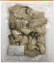 浦村牡蠣(水産品)